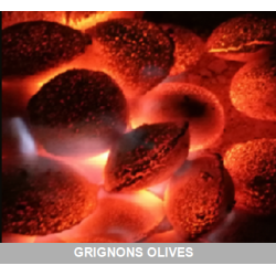 3 Kg - GRIGNONS D'OLIVE BRIQUETTE