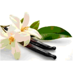 17/18 cm - VANILLE BOURBON GRAND CRU DE MADAGASCAR - 5 Gousses