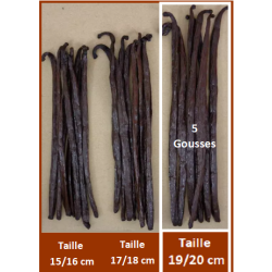 19/20 cm - VANILLE BOURBON GRAND CRU DE MADAGASCAR - 5 Gousses