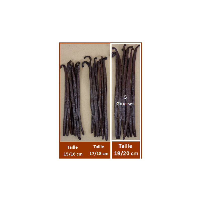 19/20 cm - VANILLE BOURBON GRAND CRU DE MADAGASCAR - 5 Gousses 19/20 cm - VANILLE BOURBON GRAND CRU DE MADAGASCAR - 5 Gousses