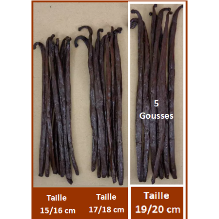 19/20 cm - VANILLE BOURBON GRAND CRU DE MADAGASCAR - 5 Gousses