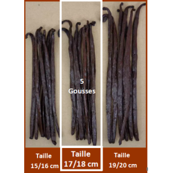 17/18 cm - VANILLE BOURBON GRAND CRU DE MADAGASCAR - 5 Gousses