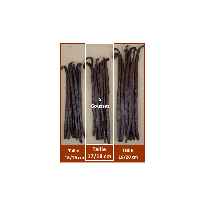 17/18 cm - VANILLE BOURBON GRAND CRU DE MADAGASCAR - 5 Gousses 17/18 cm - VANILLE BOURBON GRAND CRU DE MADAGASCAR - 5 Gousses