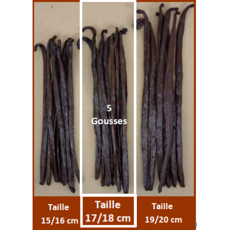 17/18 cm - VANILLE BOURBON GRAND CRU DE MADAGASCAR - 5 Gousses
