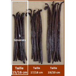 15/16 cm - VANILLE BOURBON GRAND CRU DE MADAGASCAR - 5 Gousses