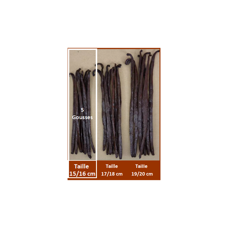 15/16 cm - VANILLE BOURBON GRAND CRU DE MADAGASCAR - 5 Gousses 15/16 cm - VANILLE BOURBON GRAND CRU DE MADAGASCAR - 5 Gousses