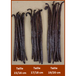 1 Kg - VANILLE BOURBON GRAND CRU DE MADAGASCAR - 15 à 20 cm