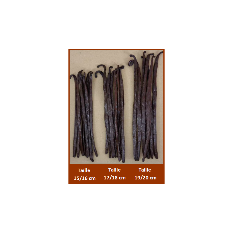 1 Kg - VANILLE BOURBON GRAND CRU DE MADAGASCAR - 15 à 20 cm 1 Kg - VANILLE BOURBON GRAND CRU DE MADAGASCAR - 15 à 20 cm