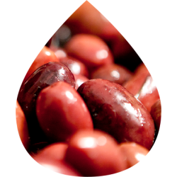 200 g - OLIVES KALAMATA EXTRA JUMBO AOP (161-180)