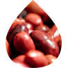 3,5 Kg - OLIVES KALAMATA EXTRA JUMBO AOP (161-180)