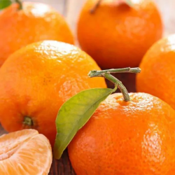 CONFITURE 85% DE FRUITS  -  MANDARINES EXTRA 360 g